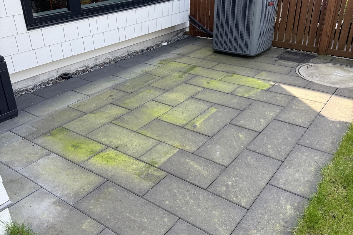 Patio before soft wash — green algae on pavers